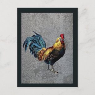 Colourful Bantam Rooster Postcard