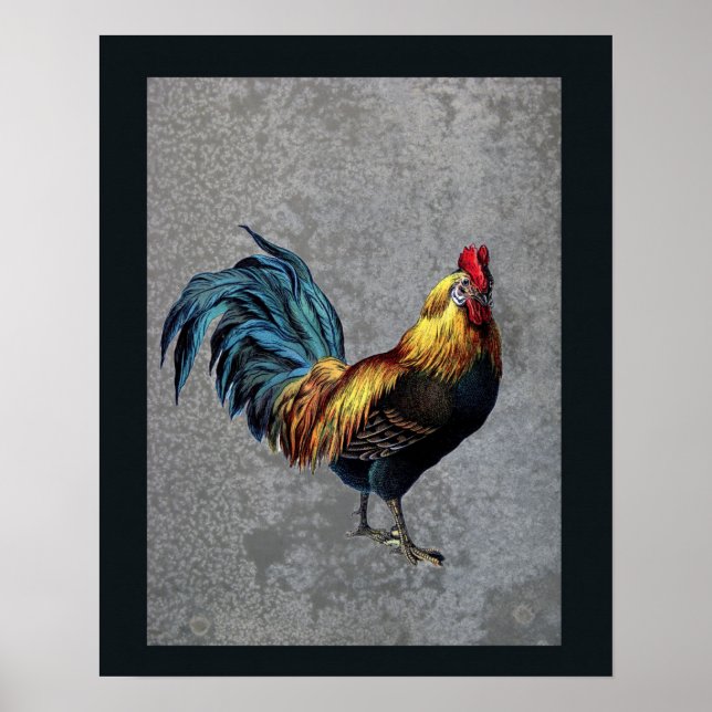 Colourful Bantam Rooster Poster (Front)