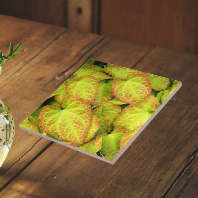 Colourful Barrenwort Plant Leaves Floral Tile (In Situ)