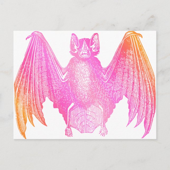 Colourful Bat Postcard (Front)