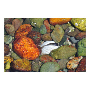Colourful Beach Rocks and Shells Photo Print