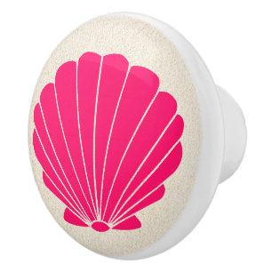 Colourful Beach Shell Scallop Drawer Knobs