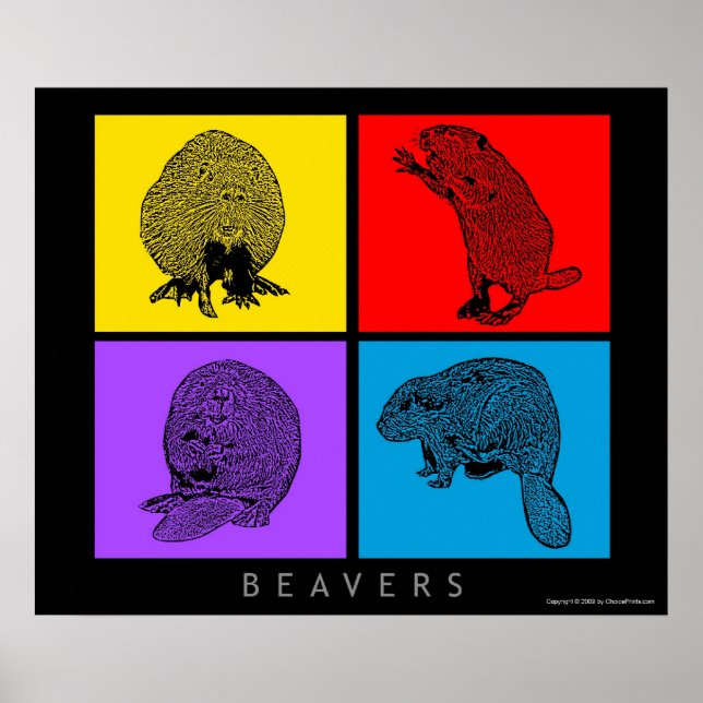 Colourful Beaver Poster (Front)