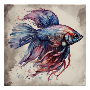 Colourful Betta Fish no 1 Glossy Poster