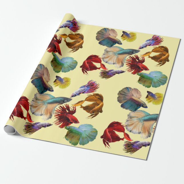 Colourful Betta Fish Wrapping Paper (Unrolled)