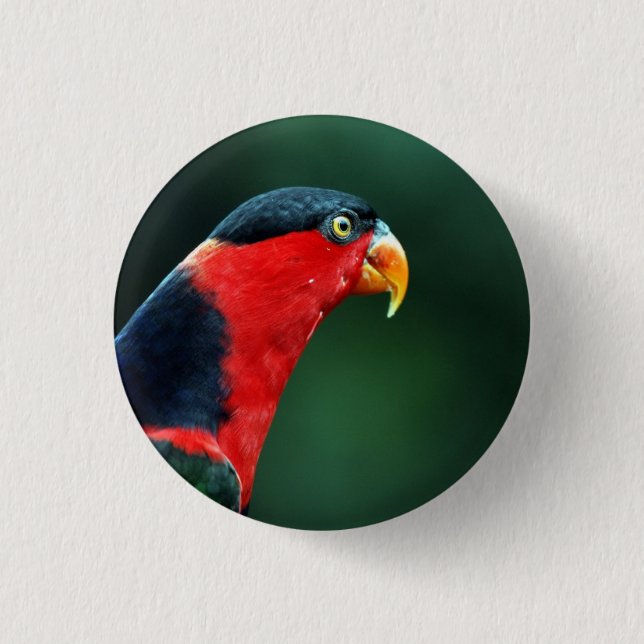 Colourful Bird Button (Front)