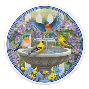 Colourful Birds and Bird Bath Flower Garden Ceramic Knob