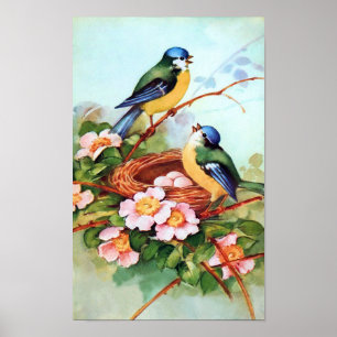 Colourful Birds in Springtime Poster