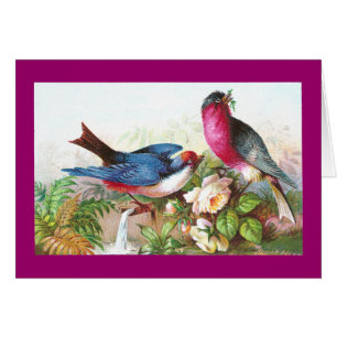 Colourful Birds, Roses & Waterspout