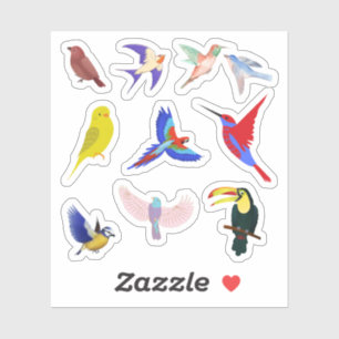 Colourful Birds Stickers