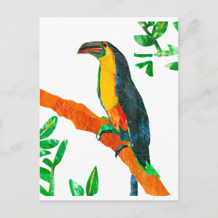Colourful Birds Toucan Postcard