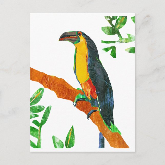 Colourful  Birds Toucan Postcard (Front)