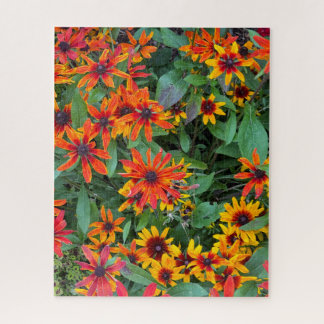 Colourful Black-eyed Susans in Vermont Jigsaw Puzzle