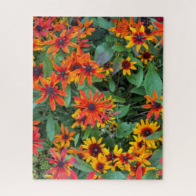 Colourful Black-eyed Susans in Vermont Jigsaw Puzzle (Vertical)