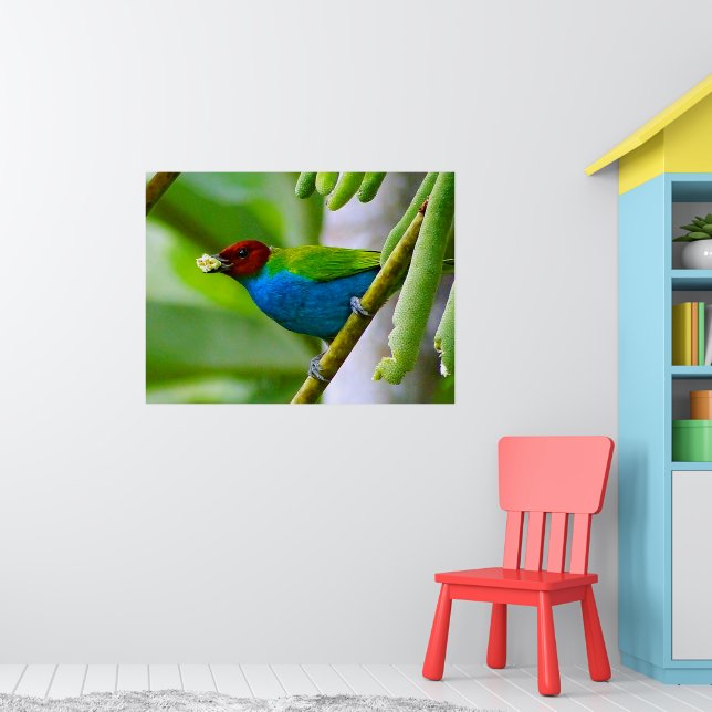 Colourful Blend Poster (Nursery 1)