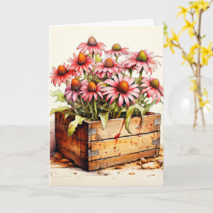 Colourful Blooming Aster Flowers Card