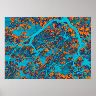 Colourful blue and orange trees poster