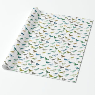 Colourful Blue Green Brown Birds Birthday Wrapping Paper