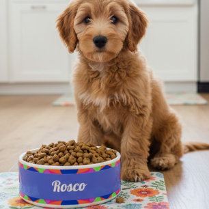 Colourful Blue Retro Geometric Ceramic Pet Bowl