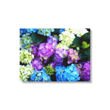 Colourful Blue White Flowers Canvas Canvas Print