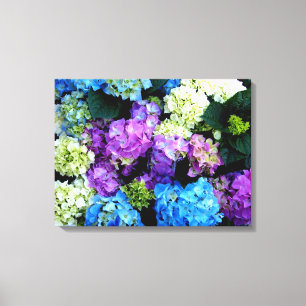 Colourful Blue White Flowers Canvas Canvas Print