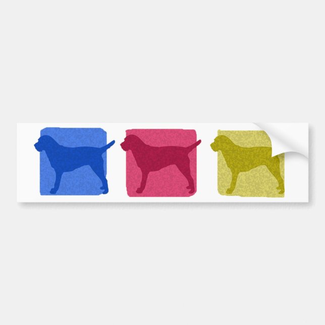 Colourful Border Terrier Silhouettes Bumper Sticker (Front)