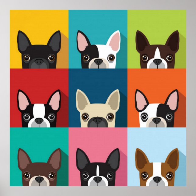 Colourful Boston Terriers Poster (Front)