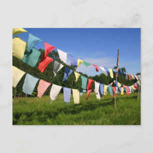 Colourful Buddhist Prayer Flags Photo Postcard