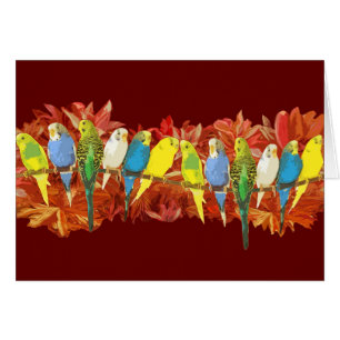 Colourful budgies pattern