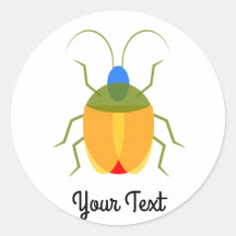 Colourful Bug