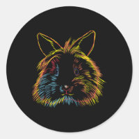 Colourful Bunny Lionhead Rabbit