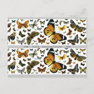 Colourful Butterflies Antiquarian Image Bookmark Postcard