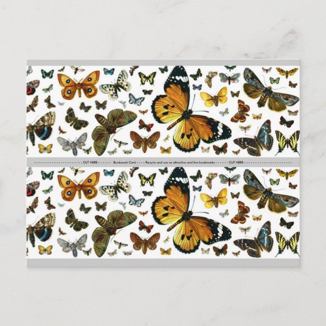 Colourful Butterflies Antiquarian Image Bookmark Postcard (Front)