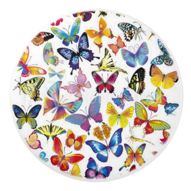 Colourful Butterflies Ceramic Knob (Front)