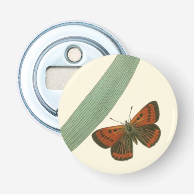 Colourful Butterflies Fluttering Around a Leaf Bottle Opener (Front)