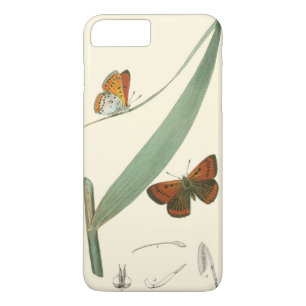 Colourful Butterflies Fluttering Around a Leaf iPhone 8 Plus/7 Plus Case