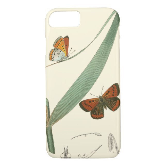 Colourful Butterflies Fluttering Around a Leaf Case-Mate iPhone Case (Back)