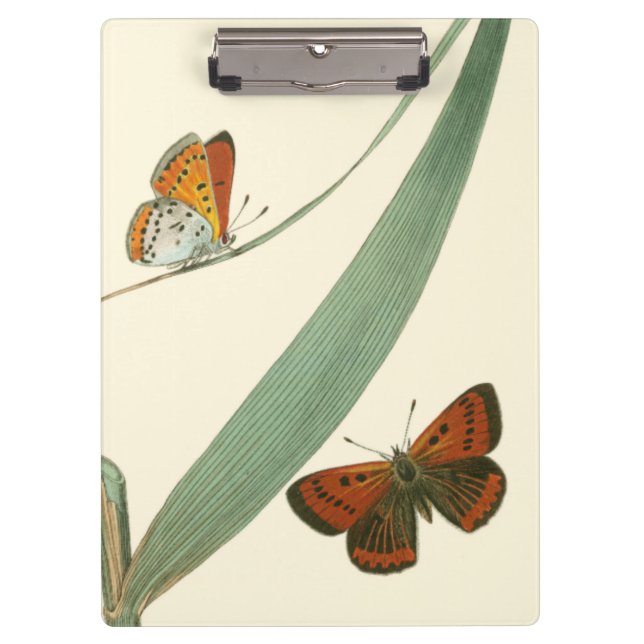 Colourful Butterflies Fluttering Around a Leaf Clipboard (Front)