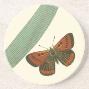 Colourful Butterflies Fluttering Around a Leaf Coaster