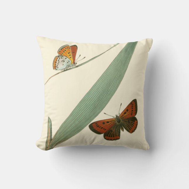 Colourful Butterflies Fluttering Around a Leaf Cushion (Front)