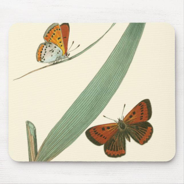 Colourful Butterflies Fluttering Around a Leaf Mouse Mat (Front)