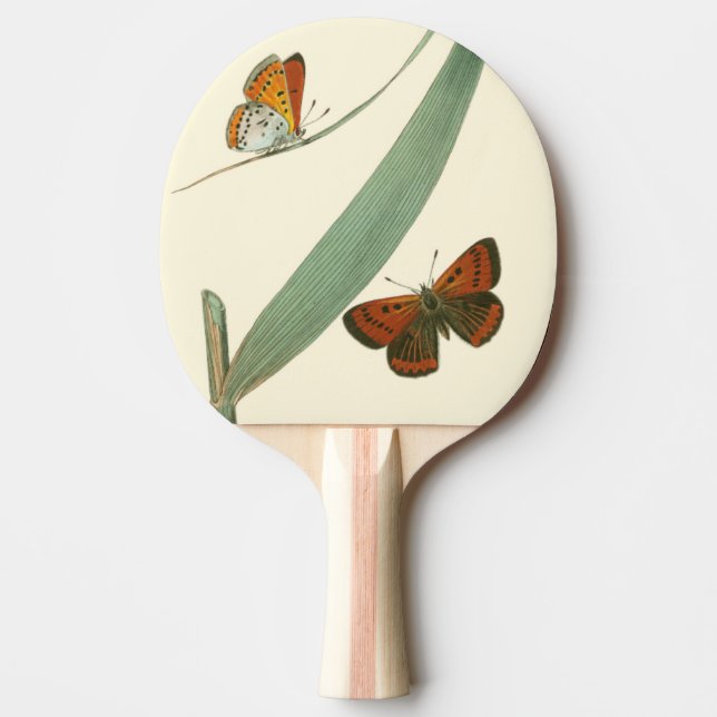 Colourful Butterflies Fluttering Around a Leaf Ping Pong Paddle (Front)