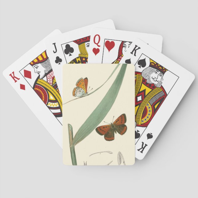 Colourful Butterflies Fluttering Around a Leaf Playing Cards (Back)