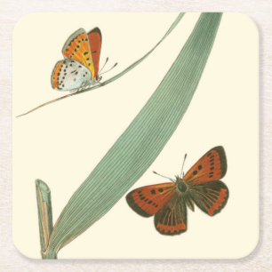 Colourful Butterflies Fluttering Around a Leaf Square Paper Coaster