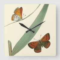 Colourful Butterflies Fluttering Around a Leaf