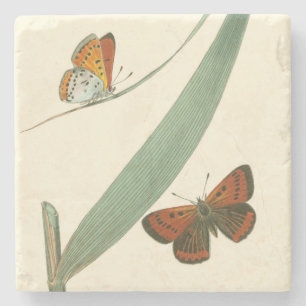 Colourful Butterflies Fluttering Around a Leaf Stone Coaster