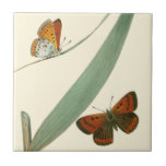 Colourful Butterflies Fluttering Around a Leaf Tile<br><div class="desc">An uncluttered print of two colourful butterflies fluttering around a leaf. While the piece is simple it is dazzling in its beauty. Give this as a gift to a loved one,  or spoil yourself!</div>