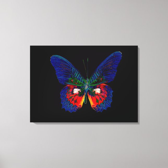 Colourful Butterfly design against black backdrop  Canvas Print (Front)