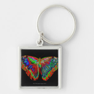 Colourful Butterfly design against black backdrop Key Ring