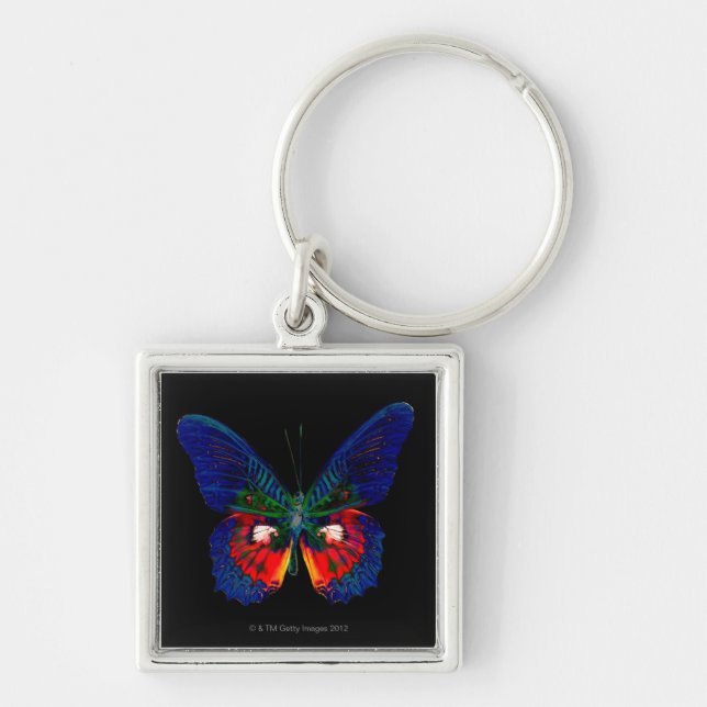 Colourful Butterfly design against black backdrop Key Ring (Front)